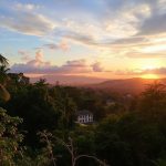 Город кошек, джунглей и колониальных тайн: настоящий Кучинг без туристического глянца